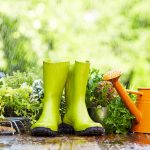 boots and gardening tools Common Myths About Winter Gardens