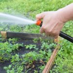 landscape garden 10 Top Tips for Watering Your Garden in Summer