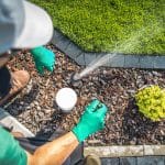 irrigation and reticulation for gardens